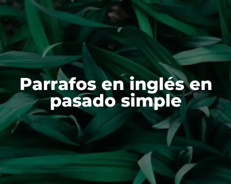 Parrafos en inglés en pasado simple