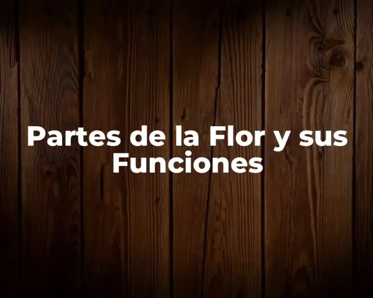 Partes de la Flor y sus Funciones