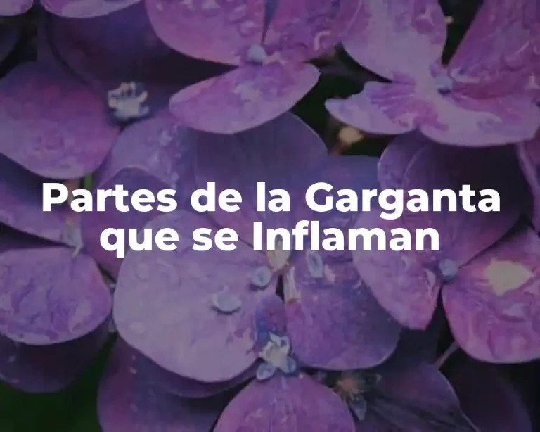 Partes de la Garganta que se Inflaman