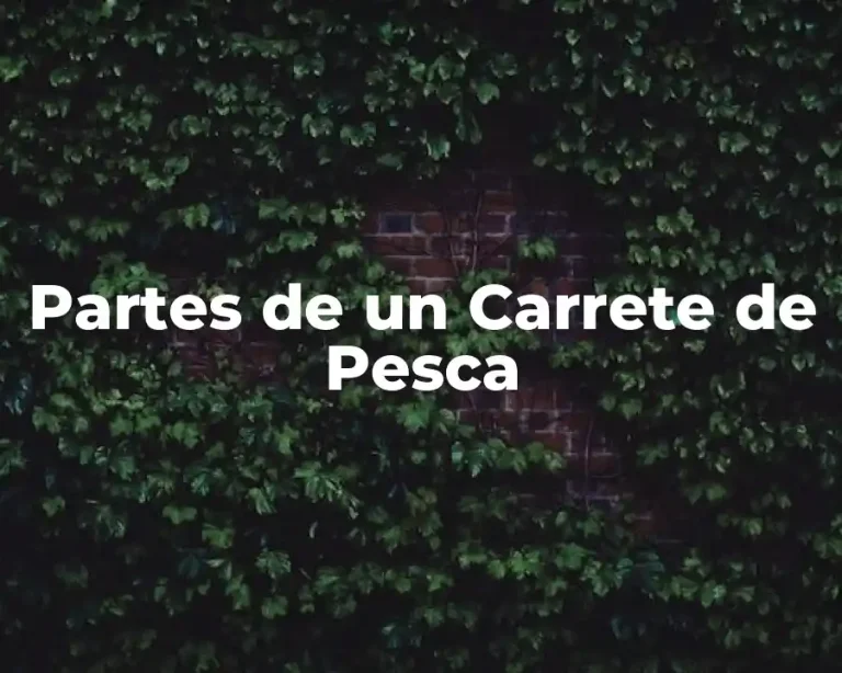 Partes de un Carrete de Pesca