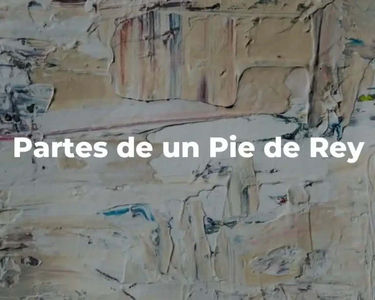 Partes de un Pie de Rey