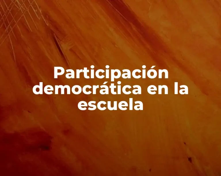 Participación democrática en la escuela