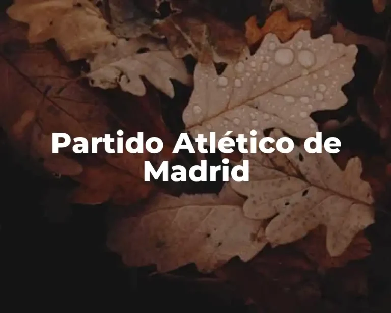 Partido Atlético de Madrid