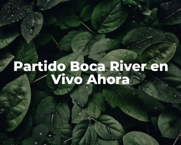 Partido Boca River en Vivo Ahora
