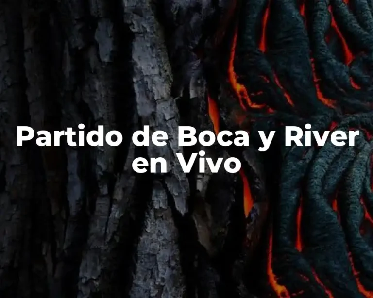 Partido de Boca y River en Vivo