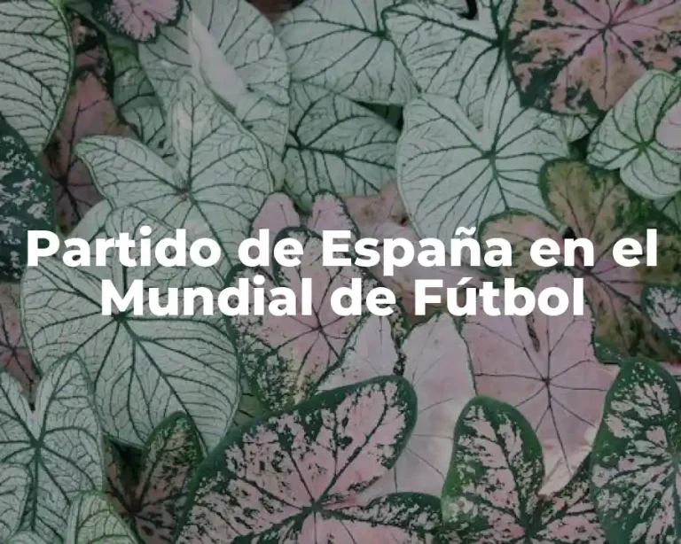 Partido de España en el Mundial de Fútbol