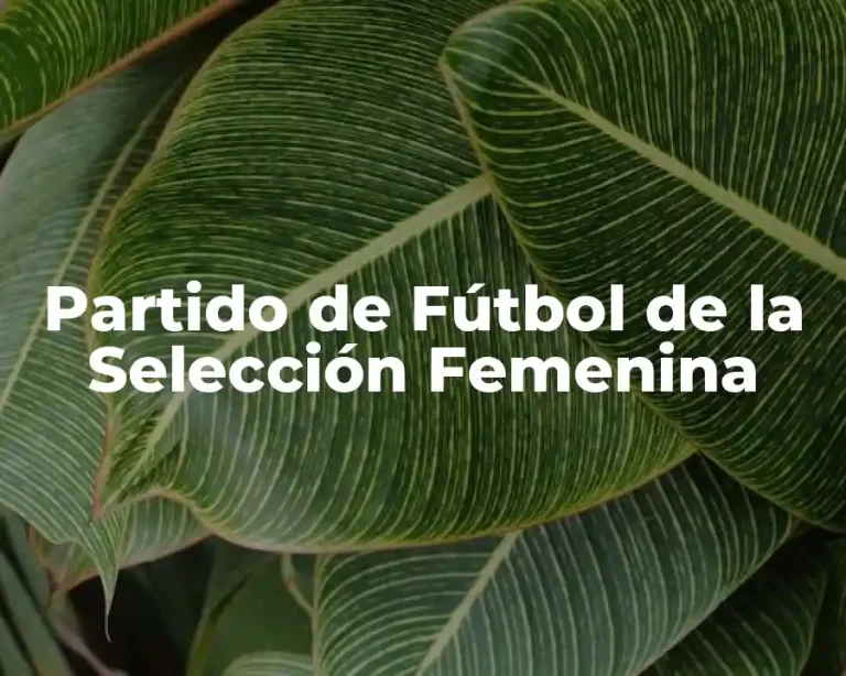 Partido de Fútbol de la Selección Femenina