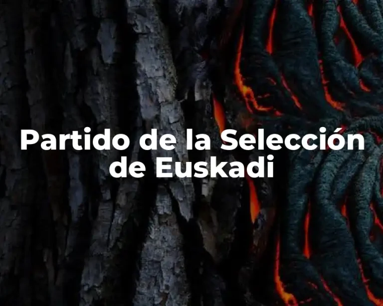Partido de la Selección de Euskadi
