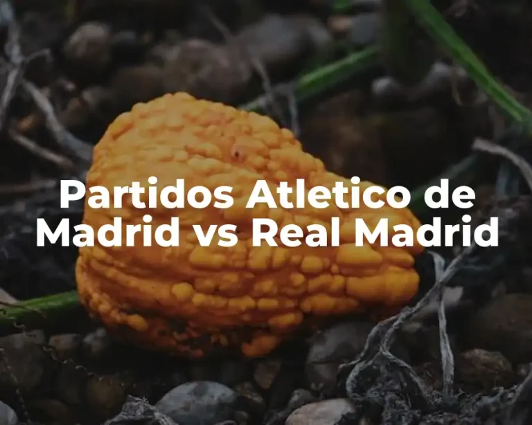 Partidos Atletico de Madrid vs Real Madrid
