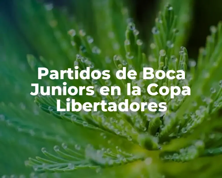 Partidos de Boca Juniors en la Copa Libertadores