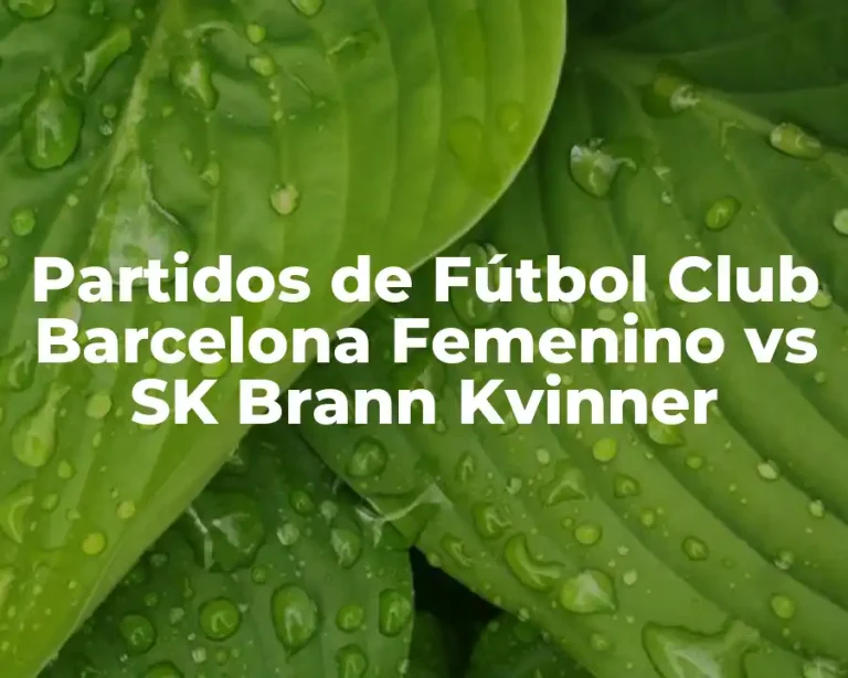 Partidos de Fútbol Club Barcelona Femenino vs SK Brann Kvinner