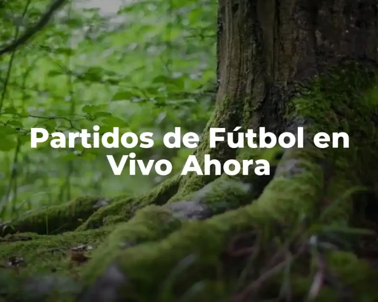 Partidos de Fútbol en Vivo Ahora