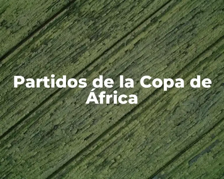 Partidos de la Copa de África