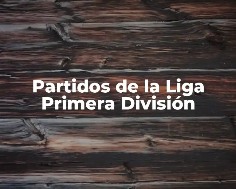 Partidos de la Liga Primera División