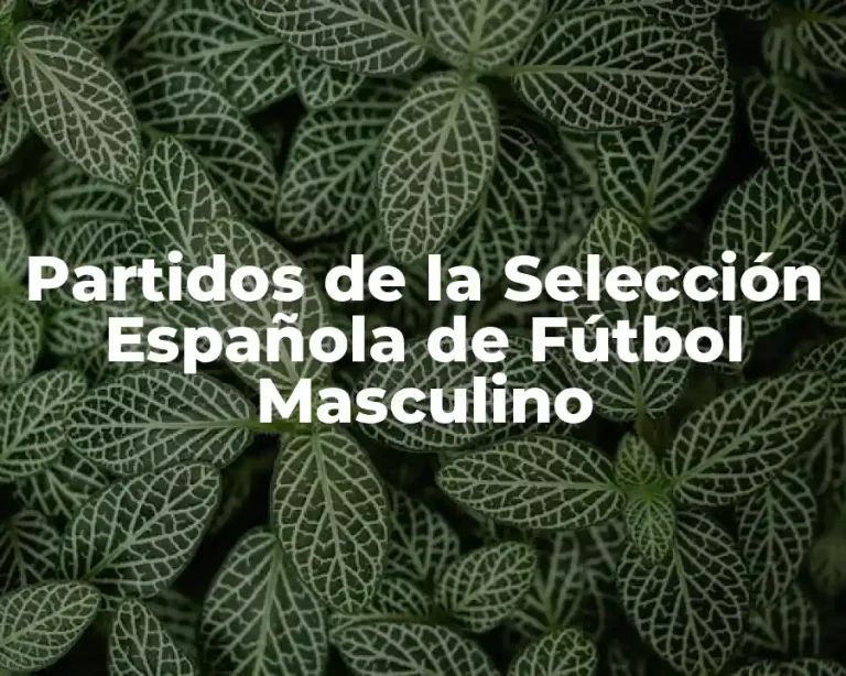 Partidos de la Selección Española de Fútbol Masculino