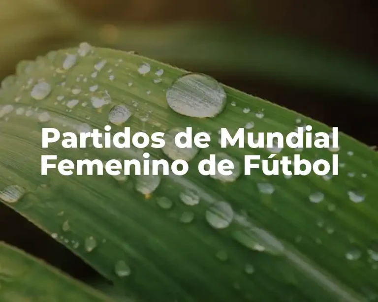 Partidos de Mundial Femenino de Fútbol