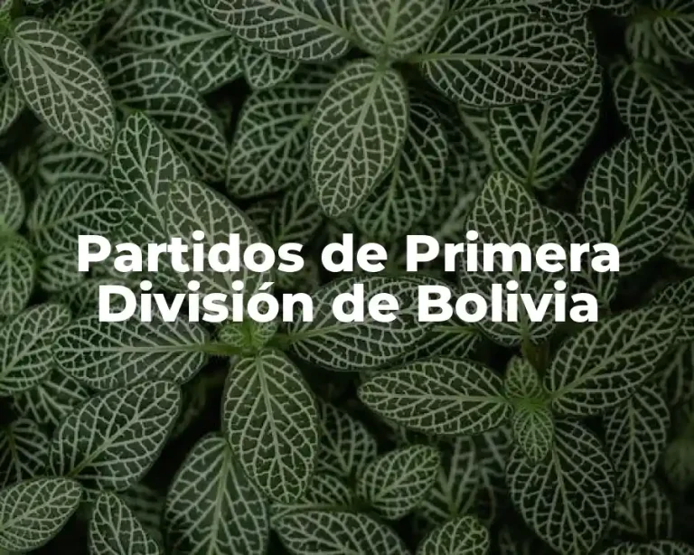 Partidos de Primera División de Bolivia