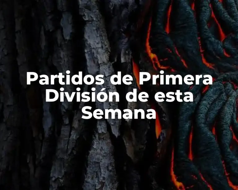 Partidos de Primera División de esta Semana