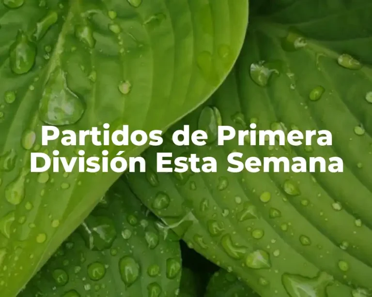 Partidos de Primera División Esta Semana