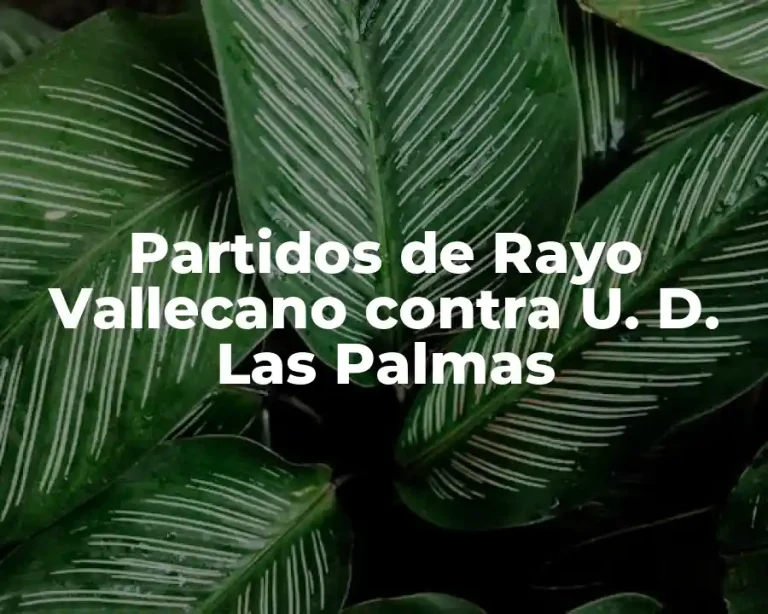 Partidos de Rayo Vallecano contra U. D. Las Palmas