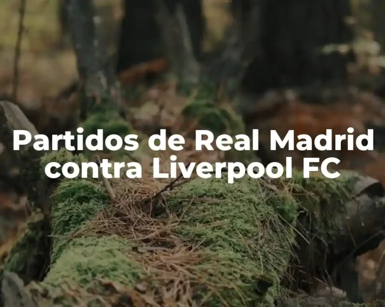 Partidos de Real Madrid contra Liverpool FC