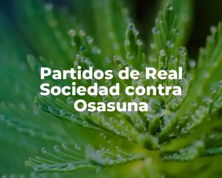 Partidos de Real Sociedad contra Osasuna
