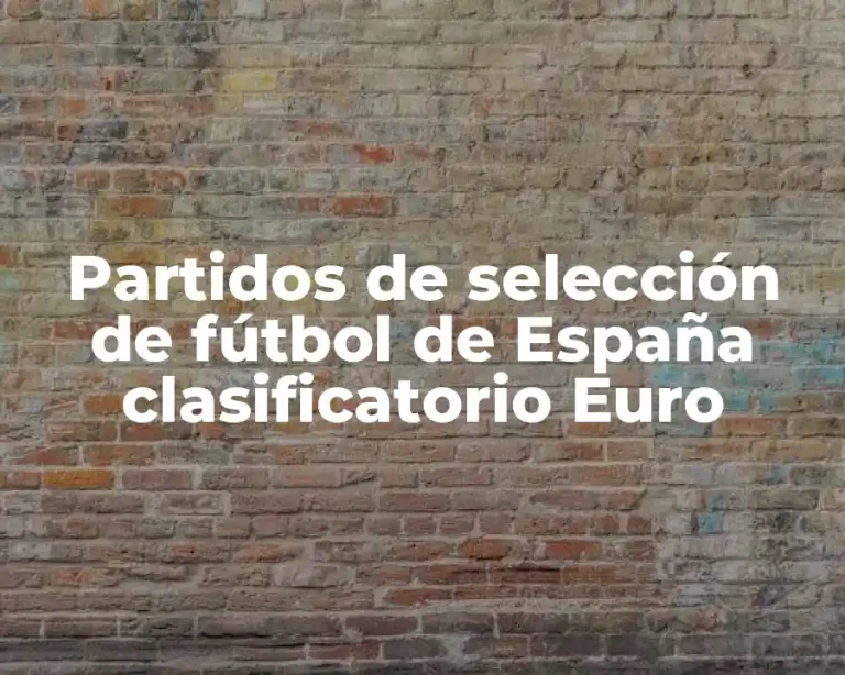 Partidos de selección de fútbol de España clasificatorio Euro
