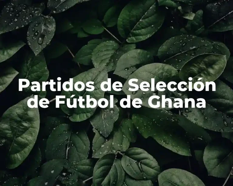 Partidos de Selección de Fútbol de Ghana
