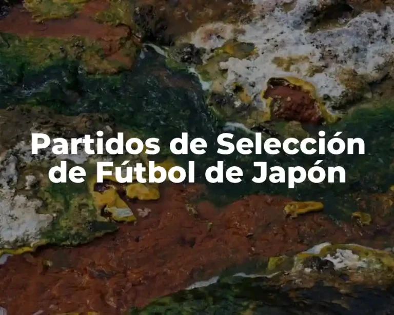 Partidos de Selección de Fútbol de Japón