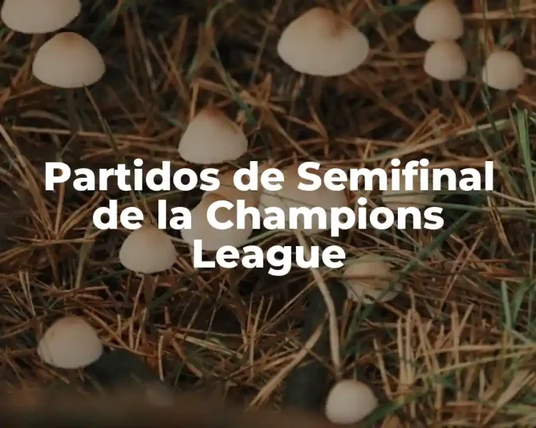 Partidos de Semifinal de la Champions League