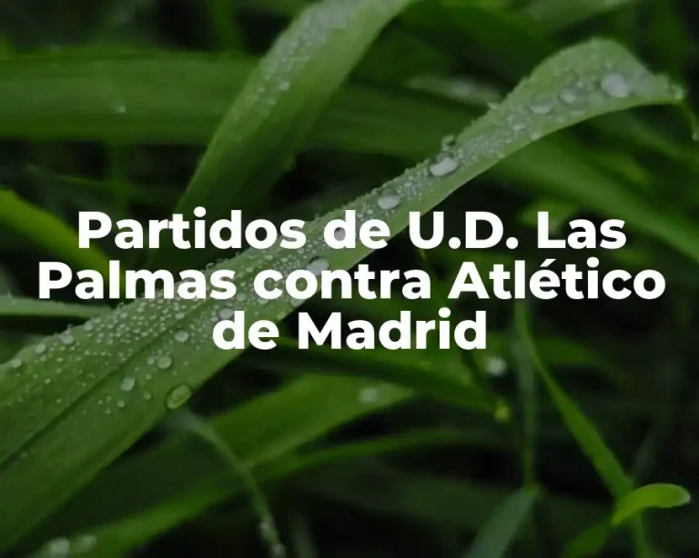 Partidos de U.D. Las Palmas contra Atlético de Madrid
