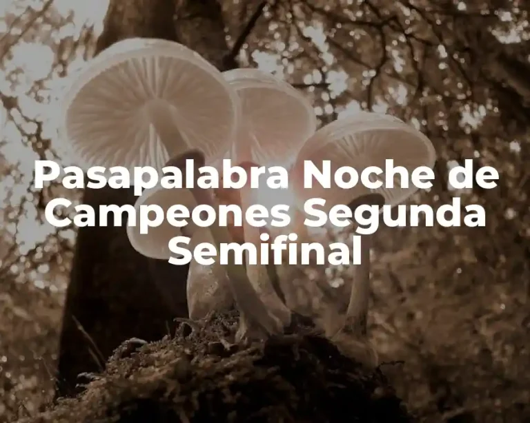 Pasapalabra Noche de Campeones Segunda Semifinal