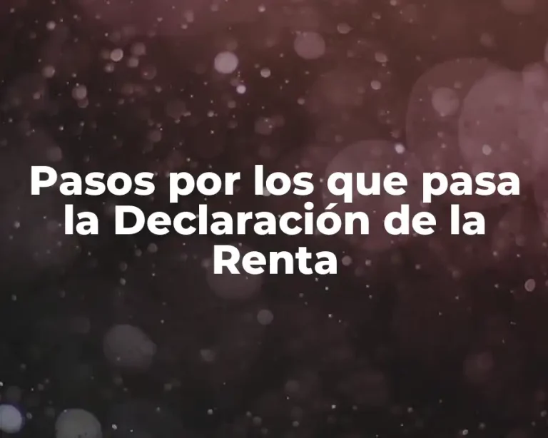 Pasos por los que pasa la Declaración de la Renta