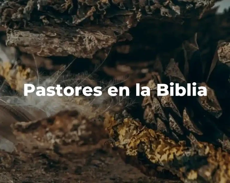 Pastores en la Biblia