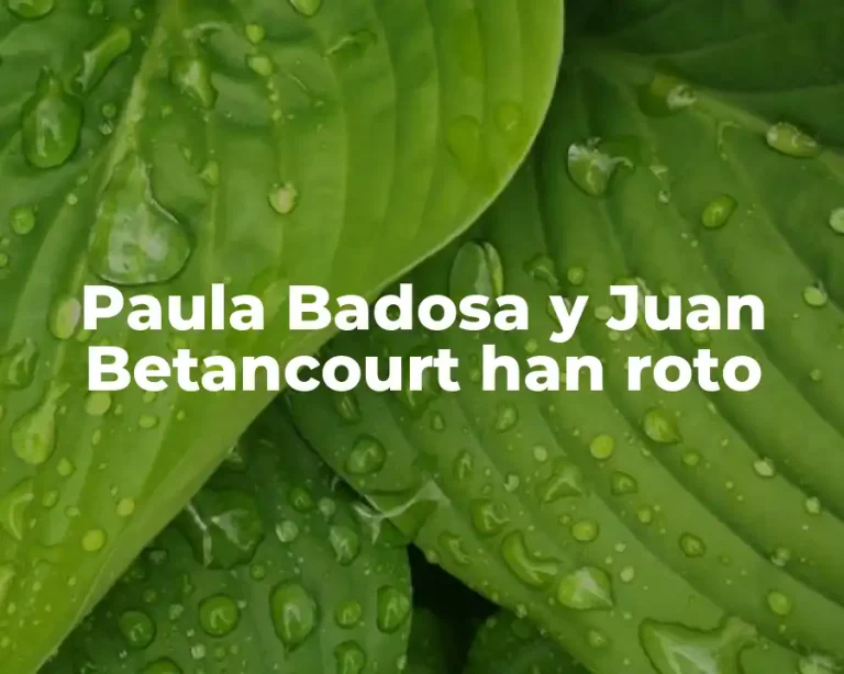 Paula Badosa y Juan Betancourt han roto