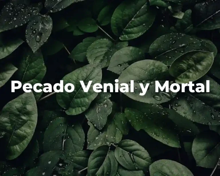 Pecado Venial y Mortal