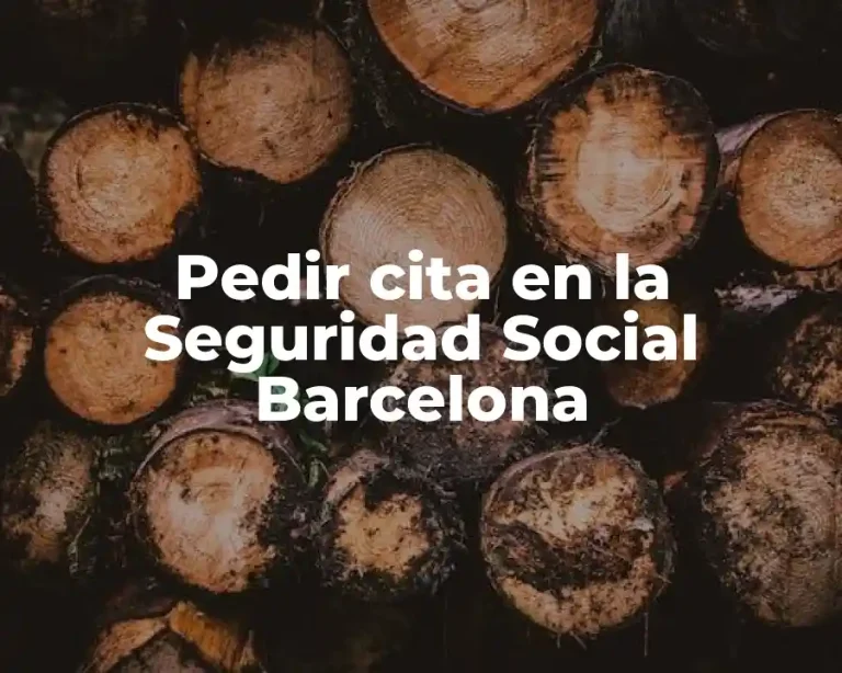 Pedir cita en la Seguridad Social Barcelona