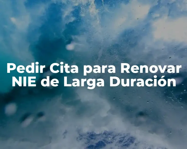 Pedir Cita para Renovar NIE de Larga Duración