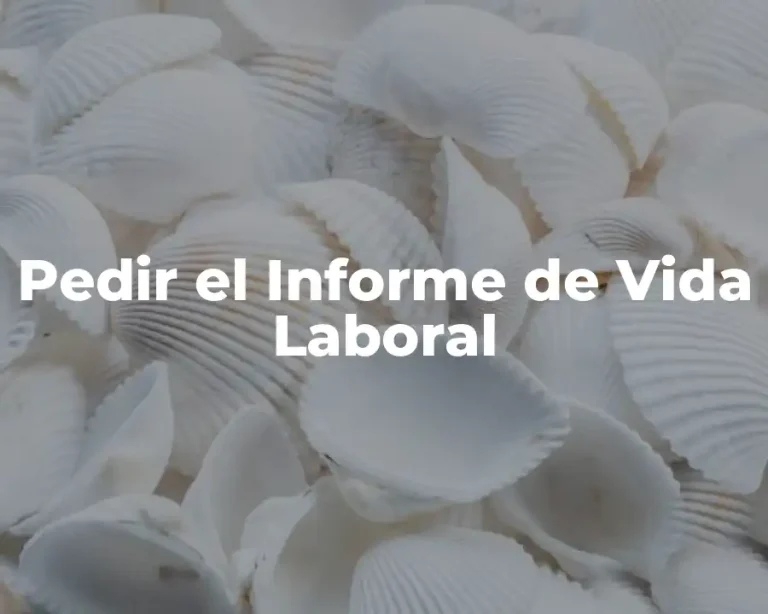 Pedir el Informe de Vida Laboral