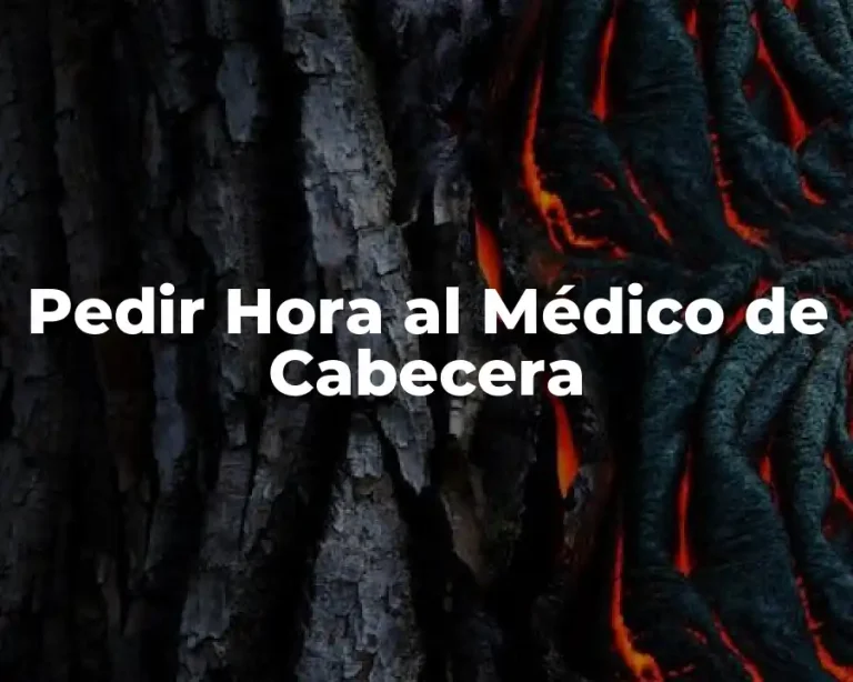 Pedir Hora al Médico de Cabecera