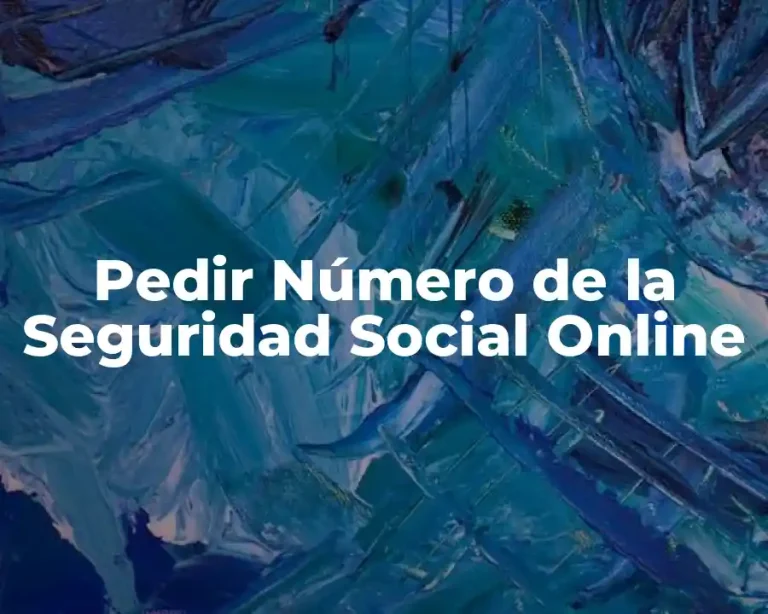 Pedir Número de la Seguridad Social Online
