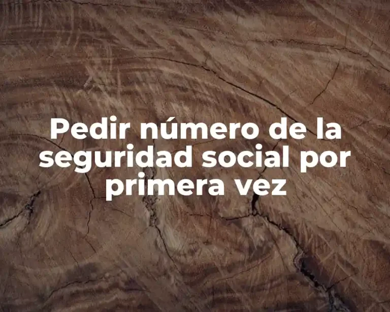 Pedir número de la seguridad social por primera vez
