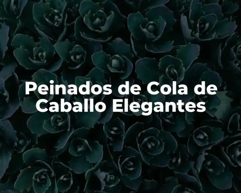 Peinados de Cola de Caballo Elegantes