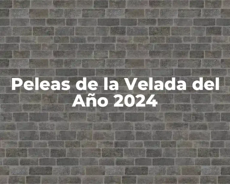 Peleas de la Velada del Año 2024