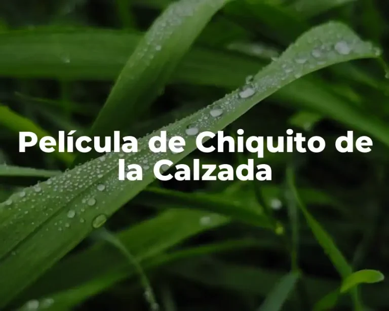 Película de Chiquito de la Calzada