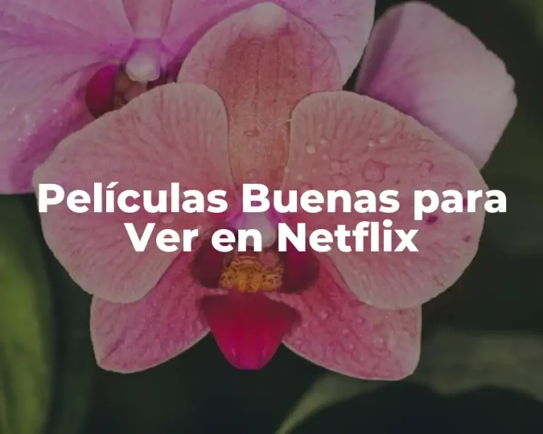 Películas Buenas para Ver en Netflix