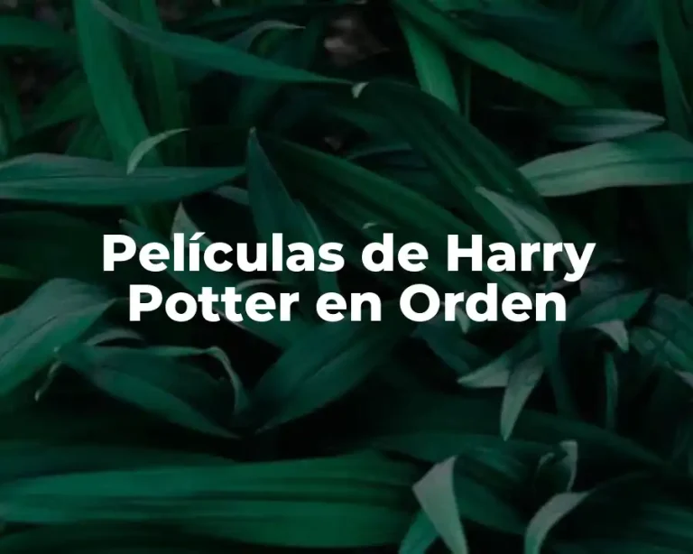 Películas de Harry Potter en Orden