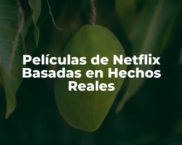 Películas de Netflix Basadas en Hechos Reales