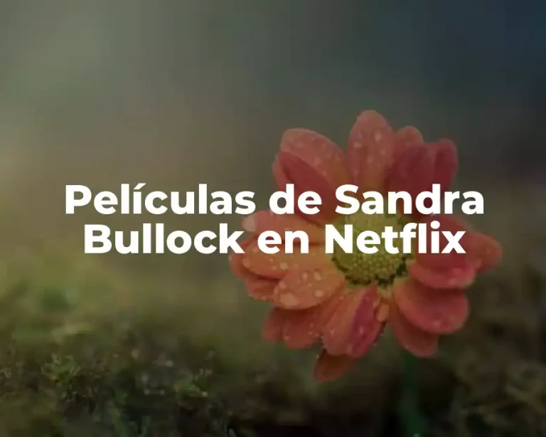Películas de Sandra Bullock en Netflix