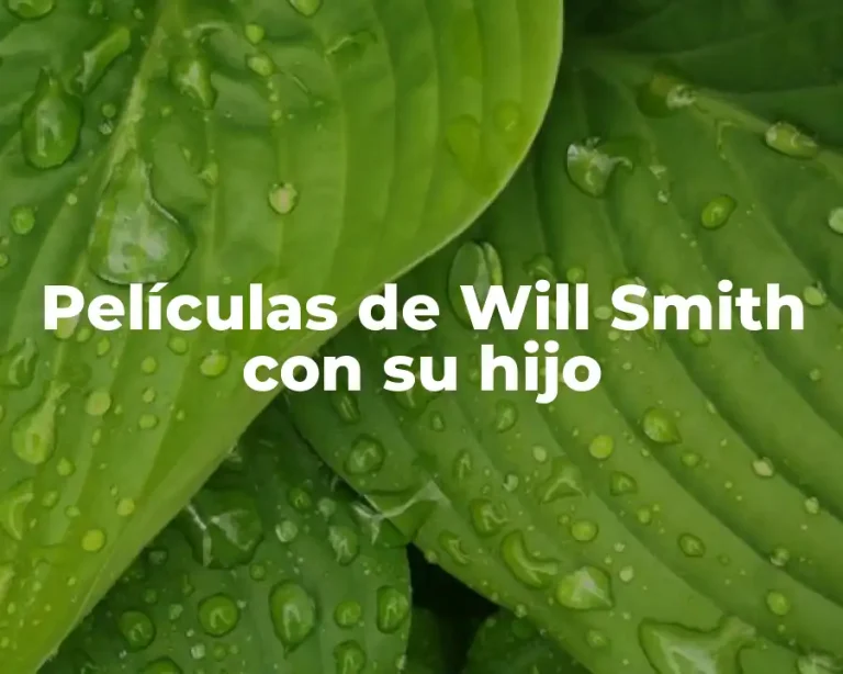 Películas de Will Smith con su hijo